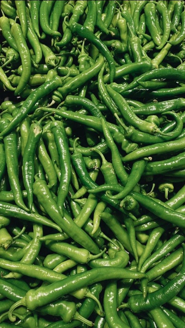 Green Chilli